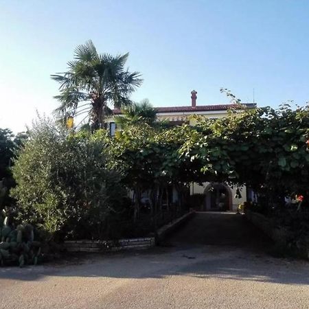 App Carla Novigrad (Istria) Exterior foto