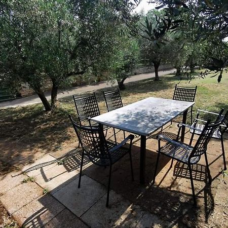 App Carla Novigrad (Istria) Exterior foto