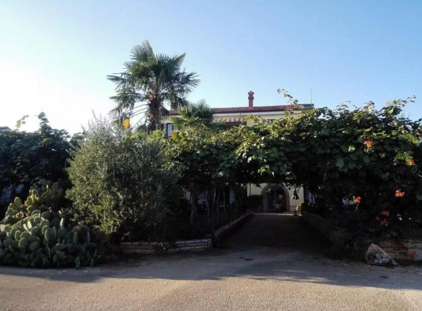 App Carla Novigrad (Istria) Exterior foto