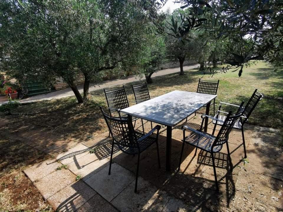 App Carla Novigrad (Istria) Exterior foto