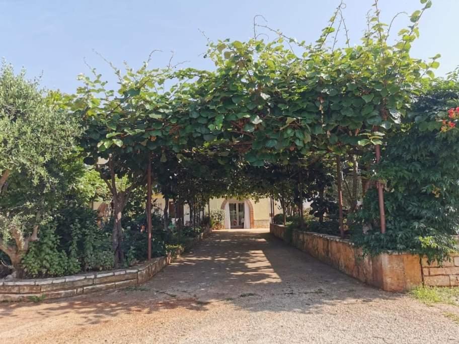 App Carla Novigrad (Istria) Exterior foto