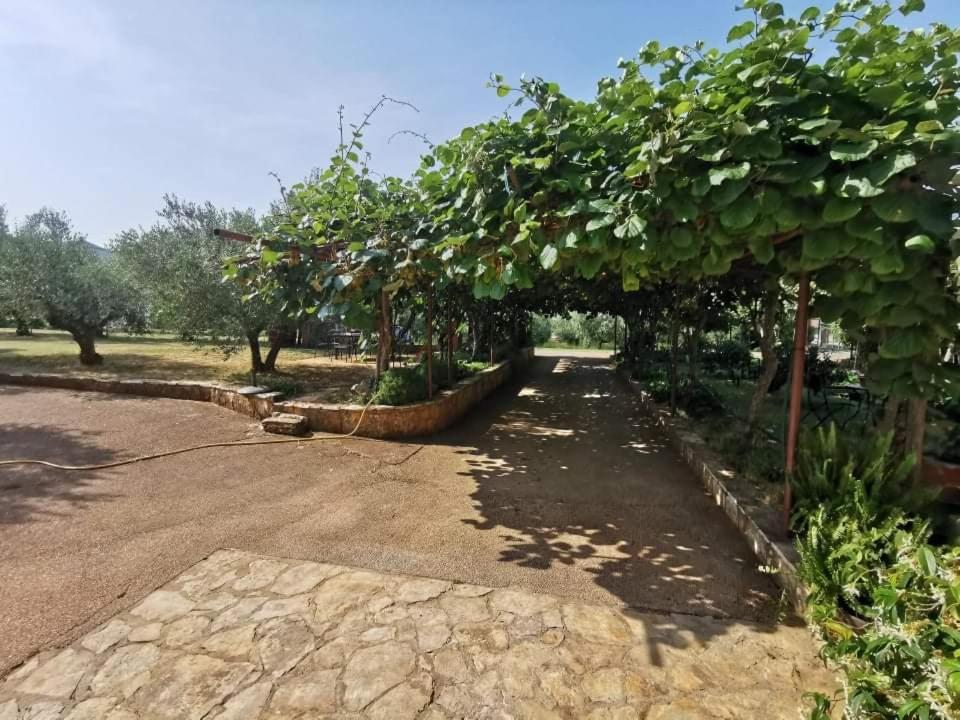 App Carla Novigrad (Istria) Exterior foto